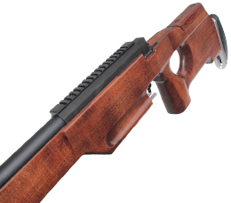 APS TYPE96 LE2021 Wood Stock