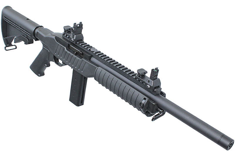 SR 10/22 HAWK-EYE STD GBB