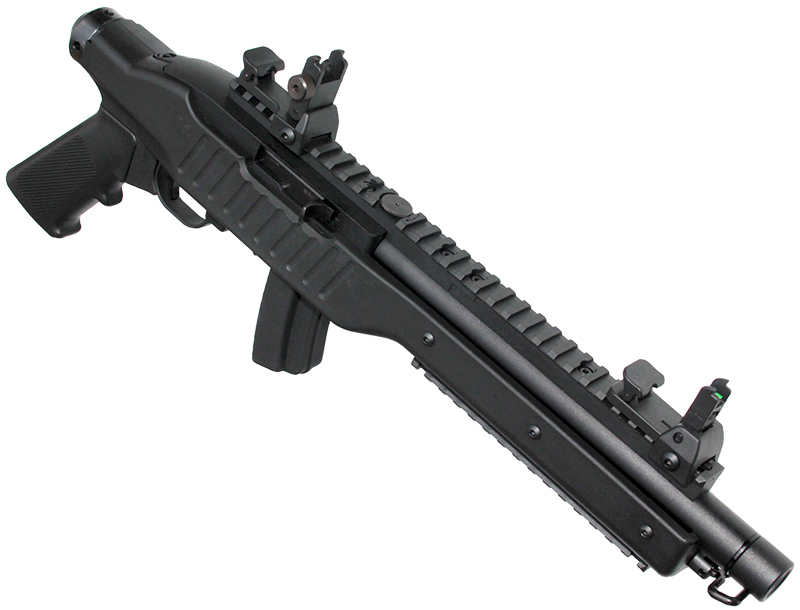 SR 10/22 HAWK-EYE Type-ZERO GBB