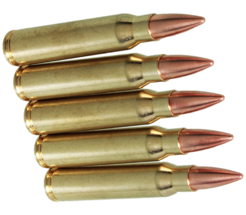 RIGHT ACCESSORY リアルダミーカート .223Remington 5発入り