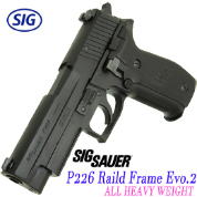 SIG SAUER P226 RAILD SEALS