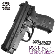 SIG SAUER P229 SIG ARMS