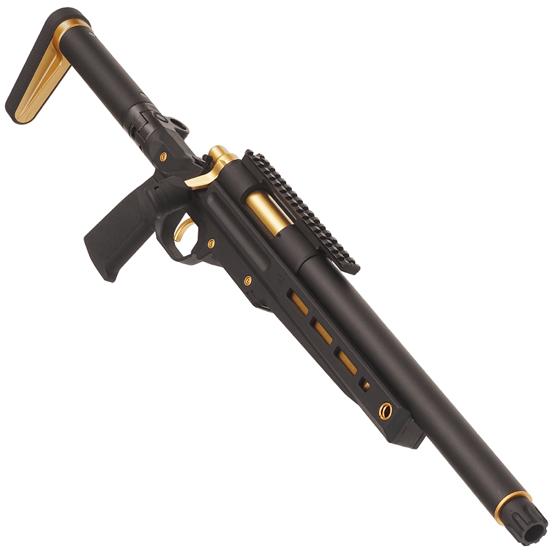 VSR-ONE GOLD Edtion